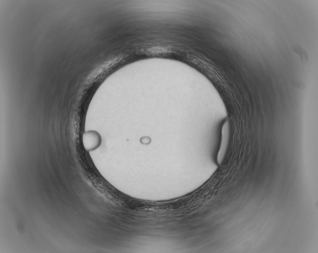 X0000110970732200907310928