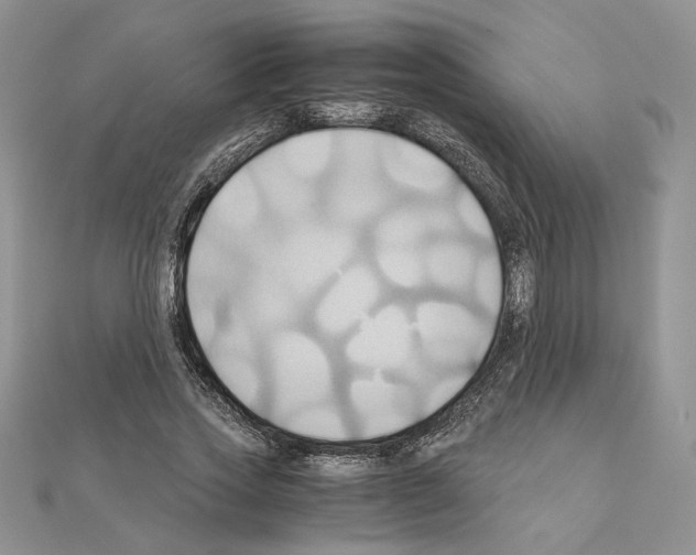 X0000110970733200907310928
