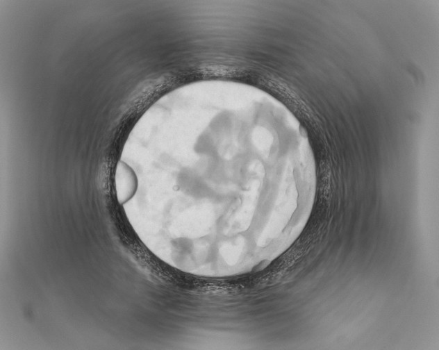 X0000110970738200907310929