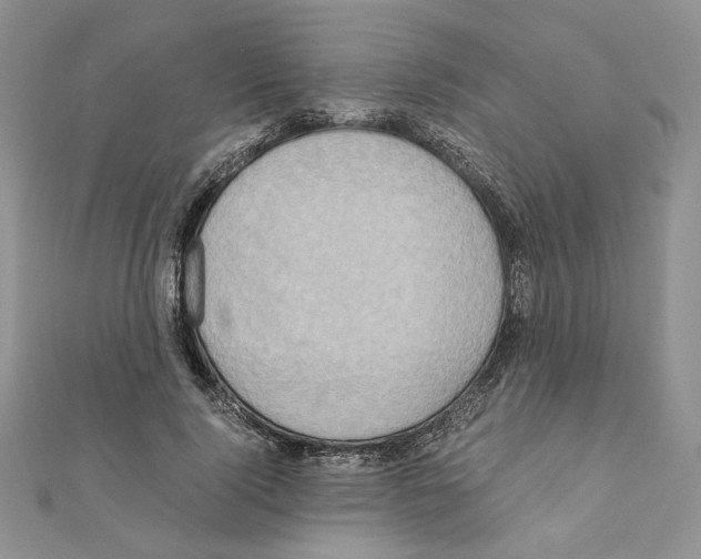 X0000110970740200907310929