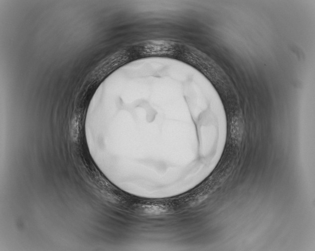 X0000110970741200907310929