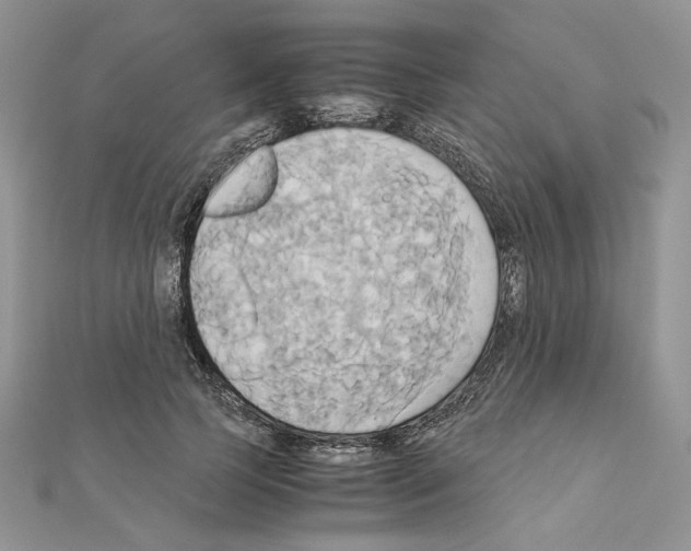 X0000110970745200907310929