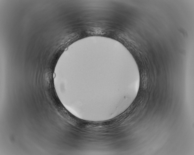 X0000110970747200907310929