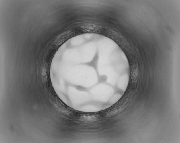 X0000110970749200907310929