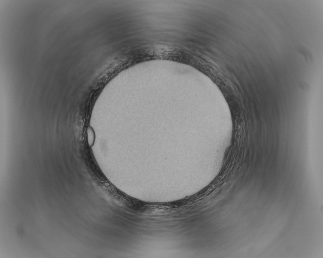 X0000110970750200907310929