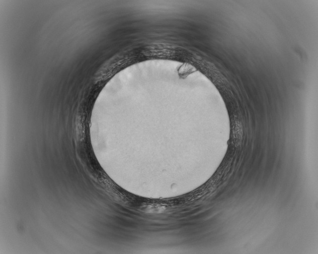 X0000110970751200907310929
