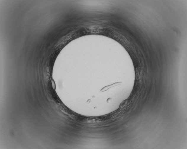 X0000110970752200907310929
