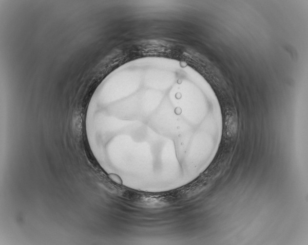 X0000110970753200907310929