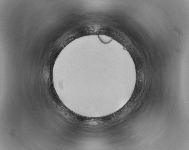 X0000110970754200907310929