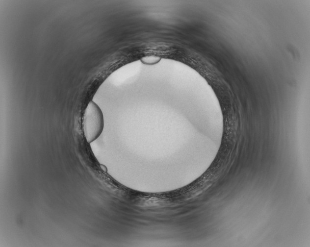 X0000110970755200907310929