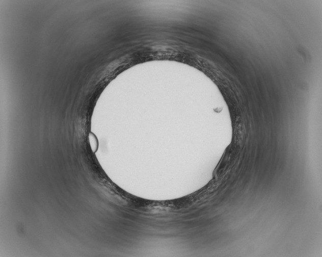 X0000110970756200907310929