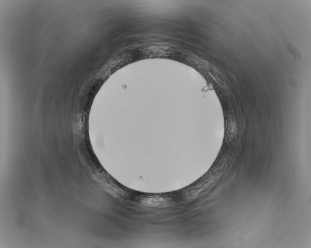 X0000110970759200907310929