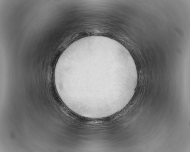 X0000110970760200907310929