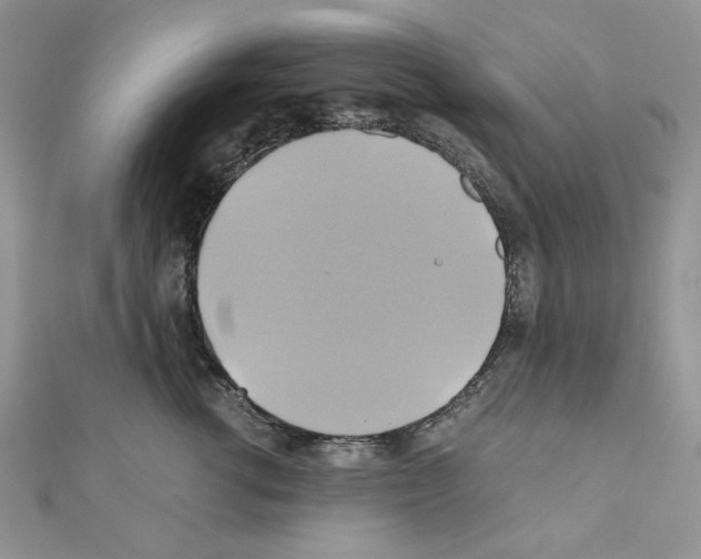 X0000110970762200907310929