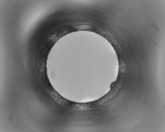 X0000110970763200907310929