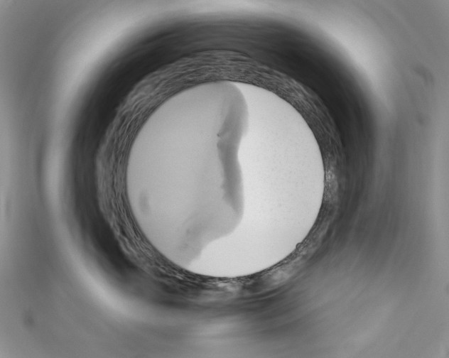X0000110970765200907310929