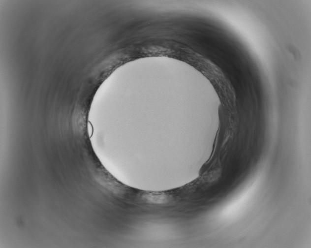 X0000110970767200907310929