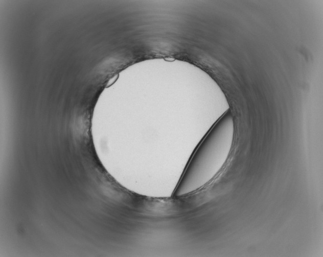 X0000110970768200907310929