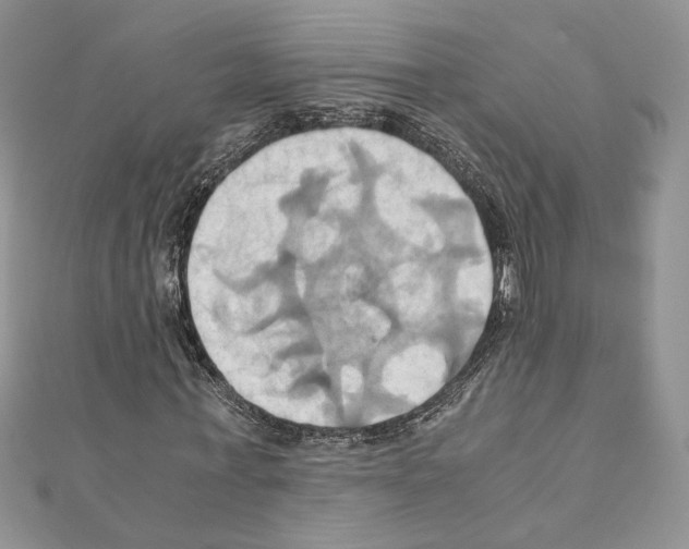 X0000110970771200907310928