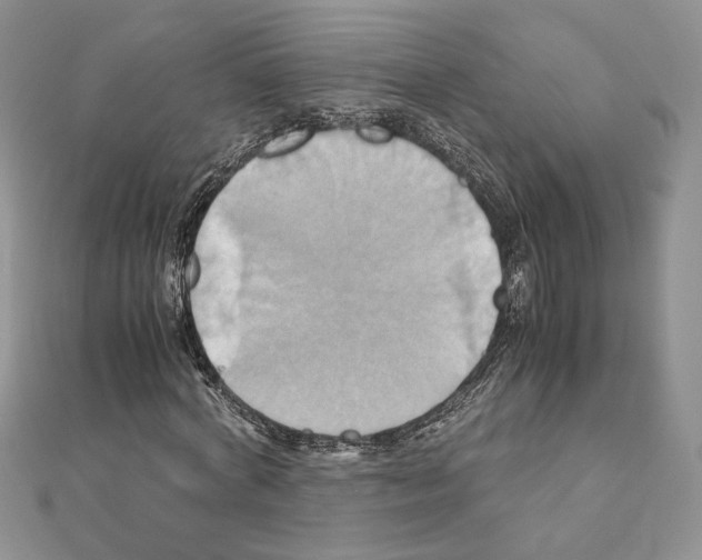 X0000110970772200907310928