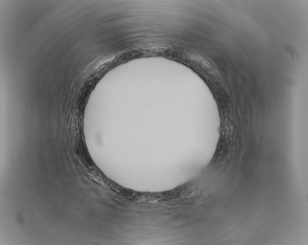 X0000110970773200907310928