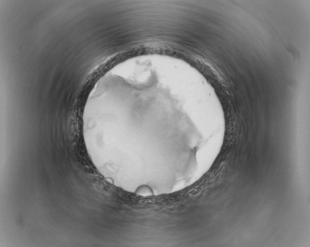 X0000110970776200907310928