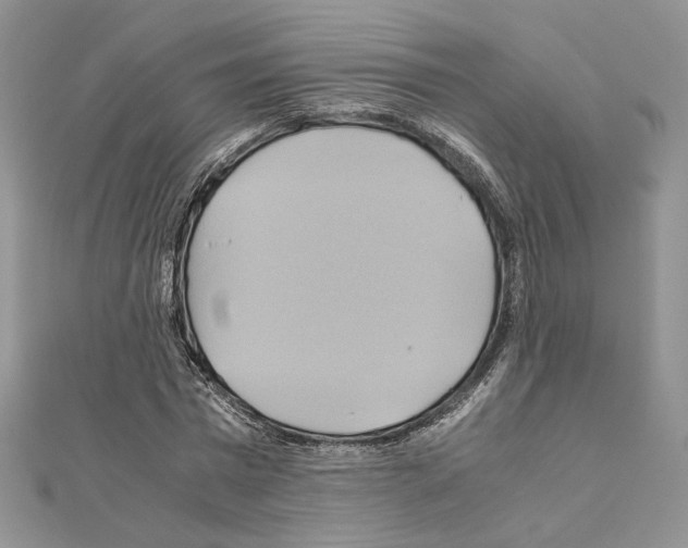 X0000110970777200907310928