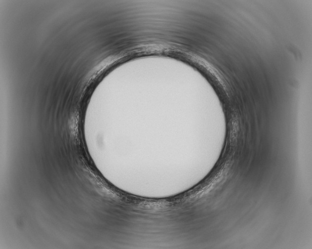 X0000110970778200907310928