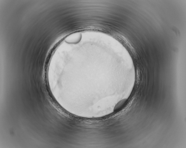 X0000110970780200907310928