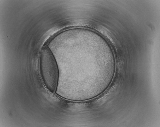 X0000110970781200907310928