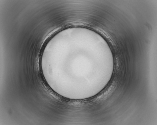 X0000110970782200907310928