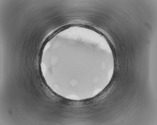 X0000110970783200907310928