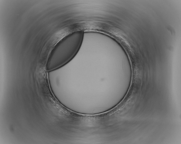 X0000110970785200907310928
