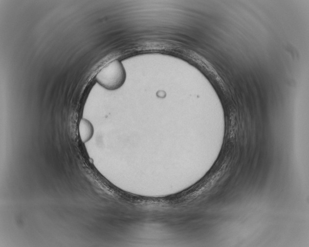 X0000110970786200907310928