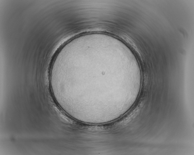 X0000110970789200907310928