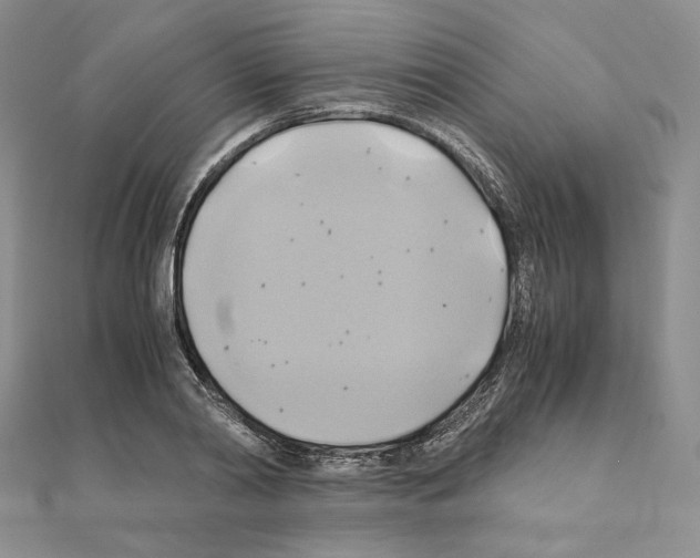 X0000110970790200907310928
