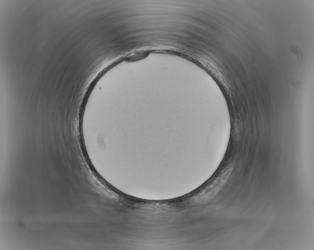 X0000110970797200907310928