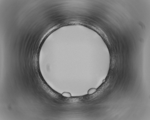 X0000110970798200907310928