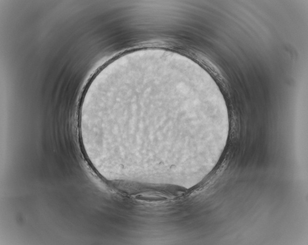 X0000110970800200907310928