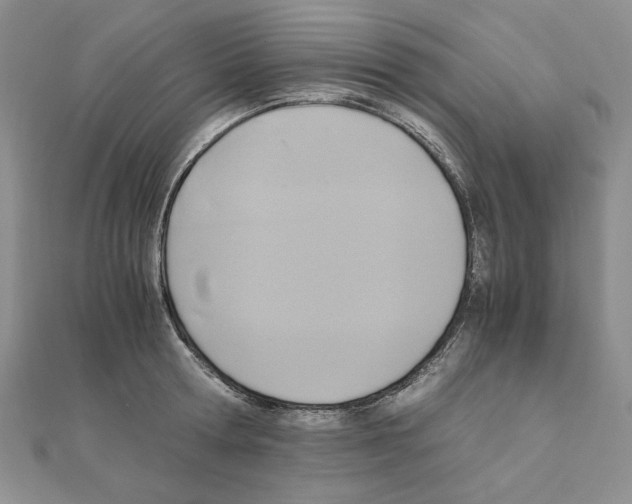X0000110970802200907310928
