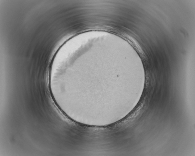 X0000110970804200907310928