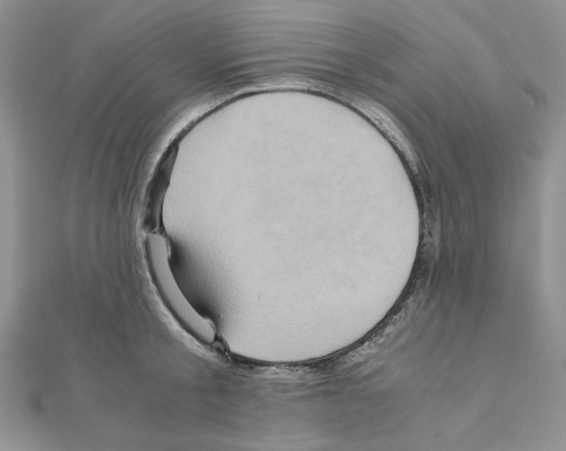 X0000110970805200907310928