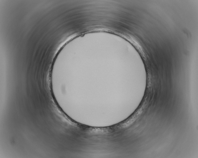 X0000110970806200907310928