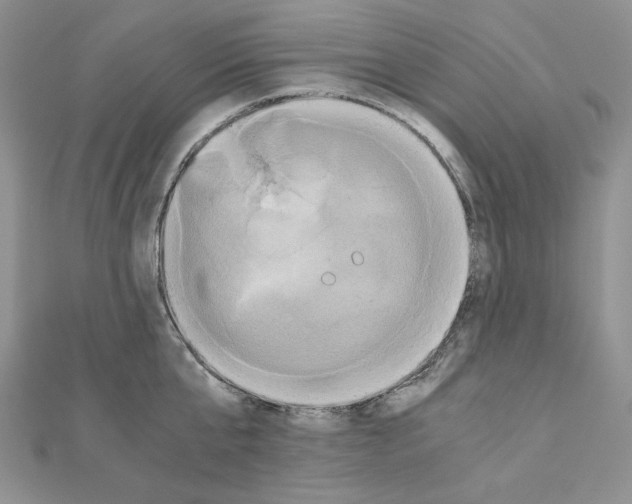 X0000110970807200907310928