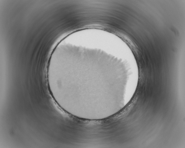 X0000110970808200907310928