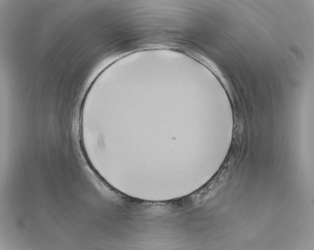 X0000110970811200907310928