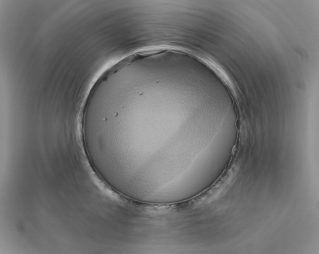 X0000110970813200907310928