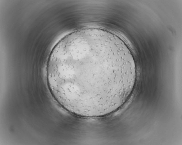 X0000110970814200907310928