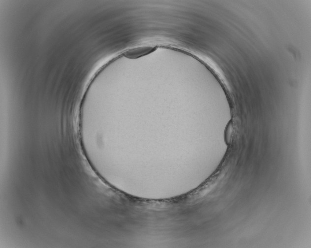 X0000110970815200907310928