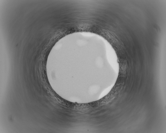 X0000110970817200907310927